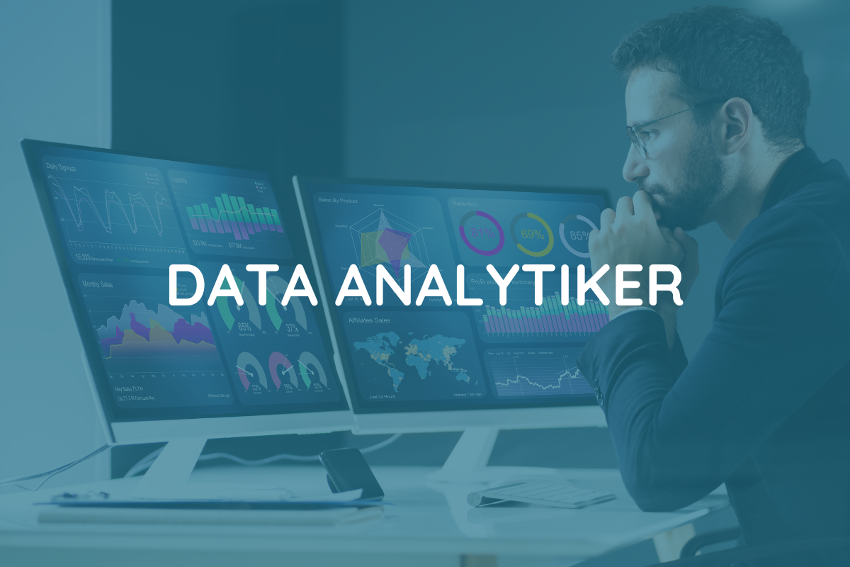 Data analytiker